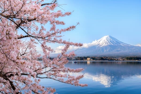 Grand tour of Japan Cruise